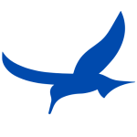 Digital ROI Fly